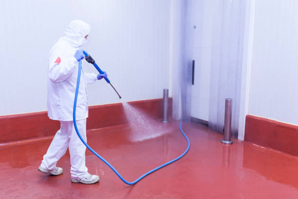Best Playground Equipment Cleaning  in Loganville, PA
